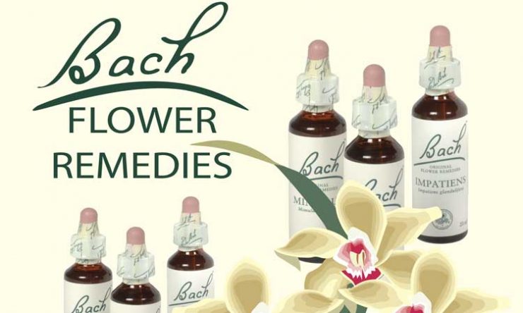 Need Help And Tips About Bach Flower Remedies – Find Them Here