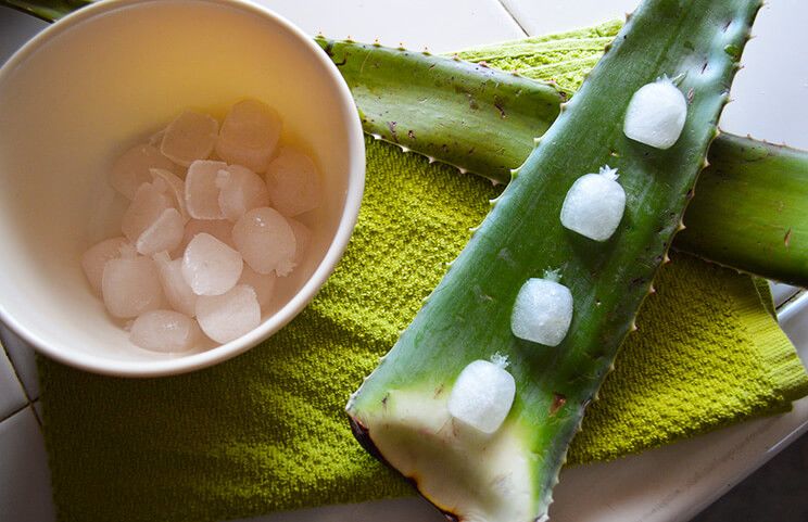 Aloe vera health benefits