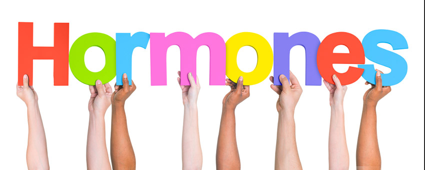 How Hormones Are So Connected And What That Means To You